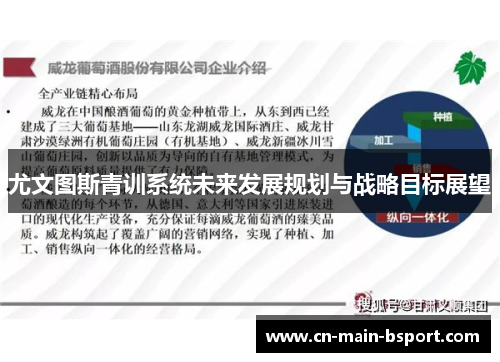 尤文图斯青训系统未来发展规划与战略目标展望