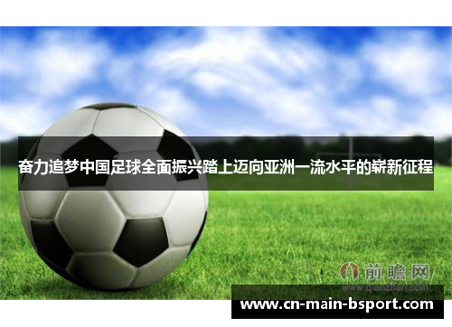 奋力追梦中国足球全面振兴踏上迈向亚洲一流水平的崭新征程