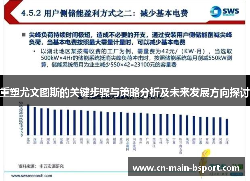 重塑尤文图斯的关键步骤与策略分析及未来发展方向探讨