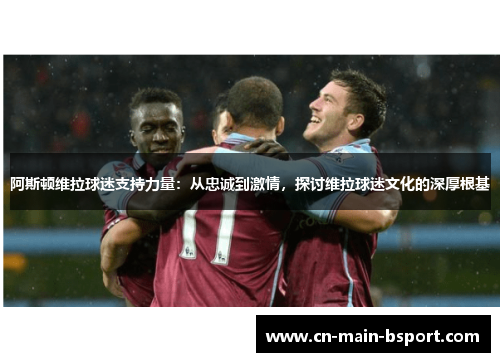 阿斯顿维拉球迷支持力量：从忠诚到激情，探讨维拉球迷文化的深厚根基