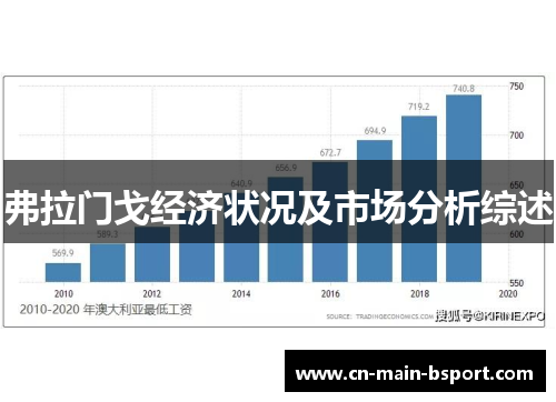 弗拉门戈经济状况及市场分析综述