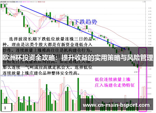 欧洲杯投资全攻略：提升收益的实用策略与风险管理